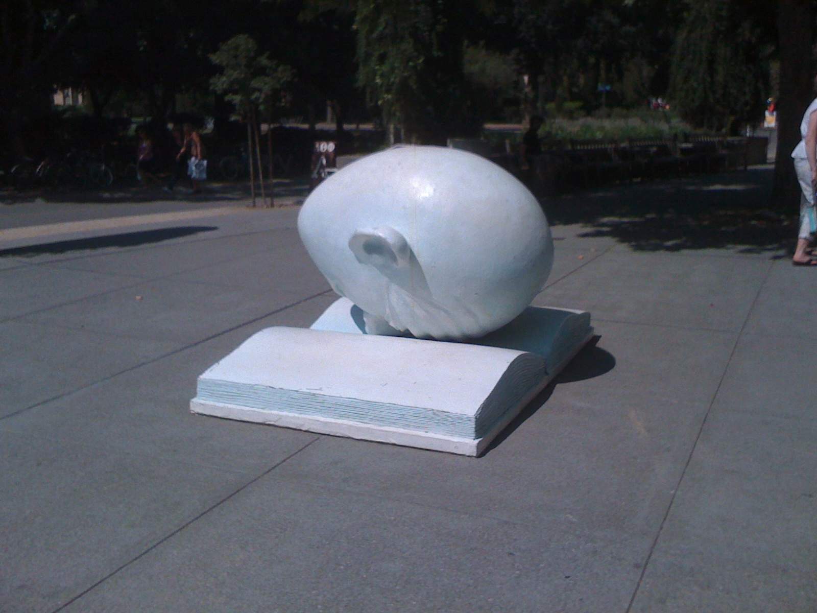 UC Davis