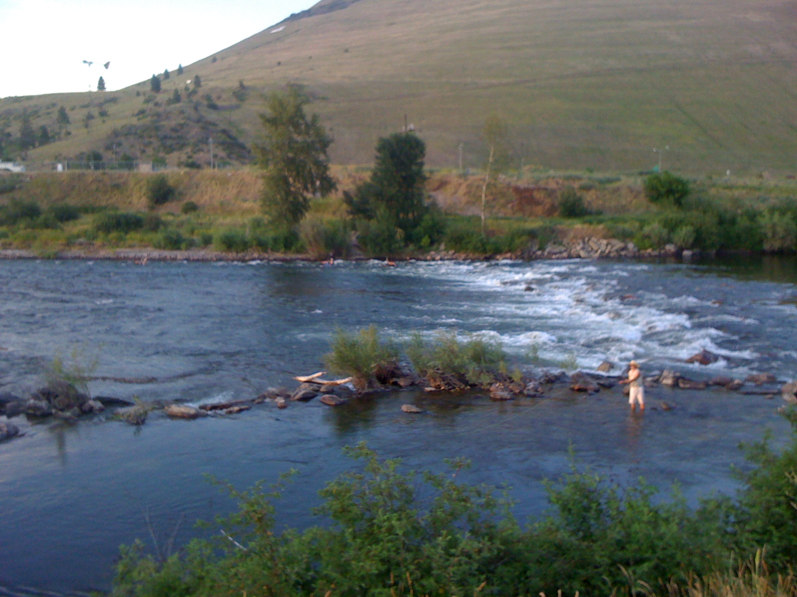 University of Montana